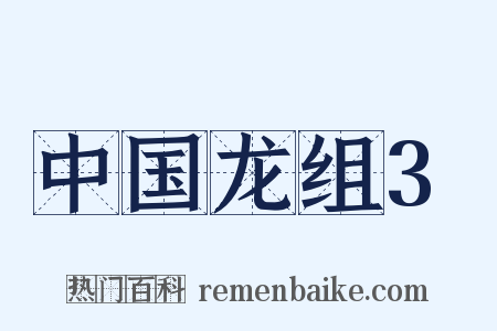 中国龙组3是什么意思的图片